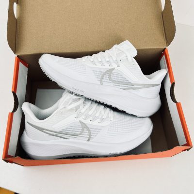 Giày Nike Air Zoom Pegasus 39 “Silver White” Like Auth 01